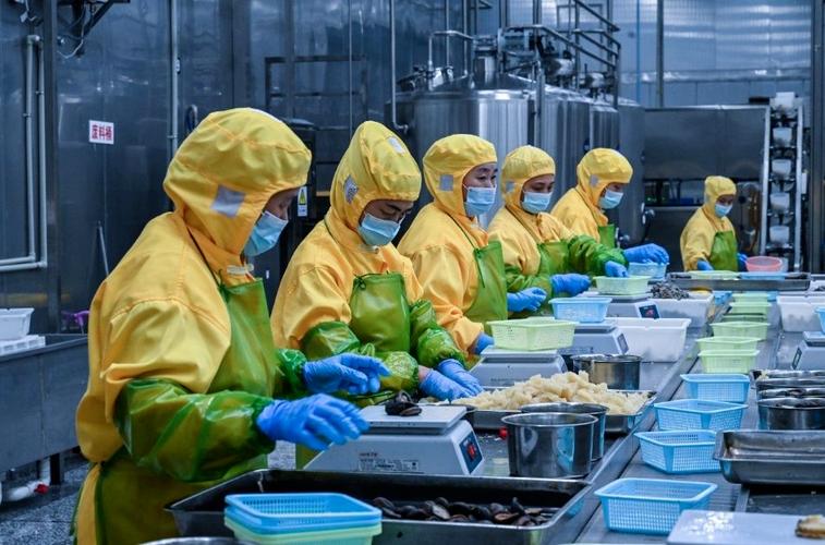 周口中央厨房产业园盛大投产,每日配送100万份预制菜至长三角,引领行业新潮流